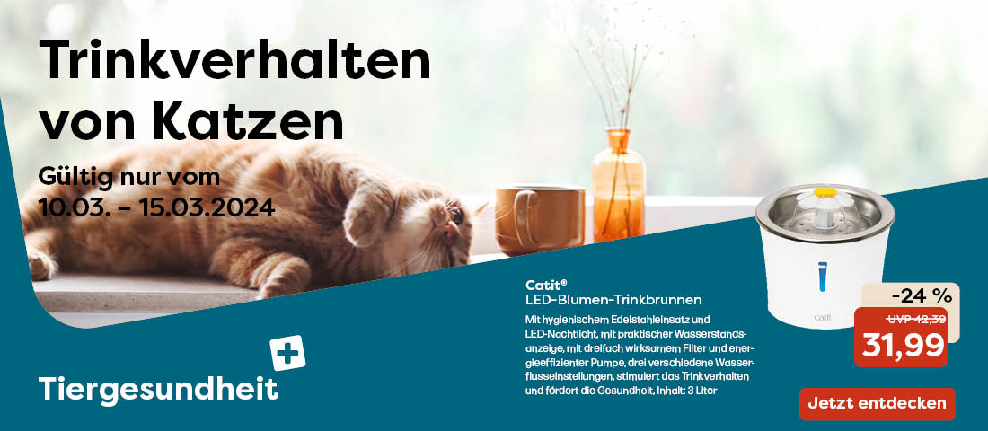 Trinkhaltebox für Katzen
