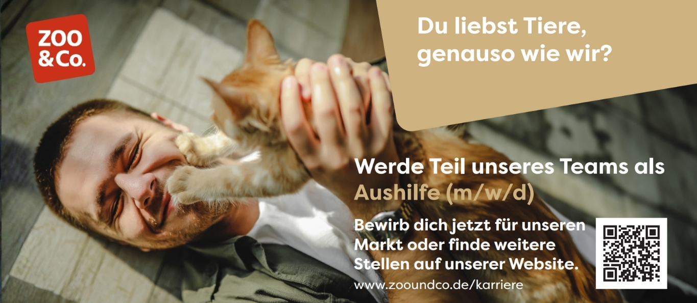 ZC Zaunbanner Aushilfe