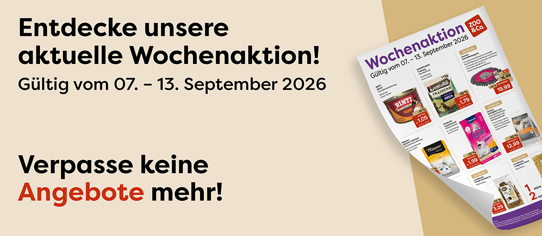 Entdecke die aktuelle Aktion!